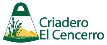 El Cencerro